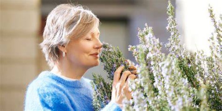 Enticing smell