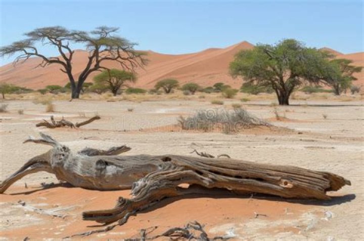 Expansive as a desert