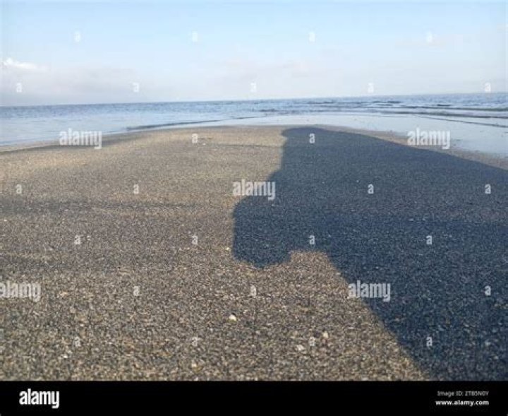 Fade back toward the ocean
