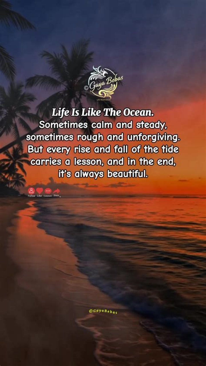 Fall back as the tide