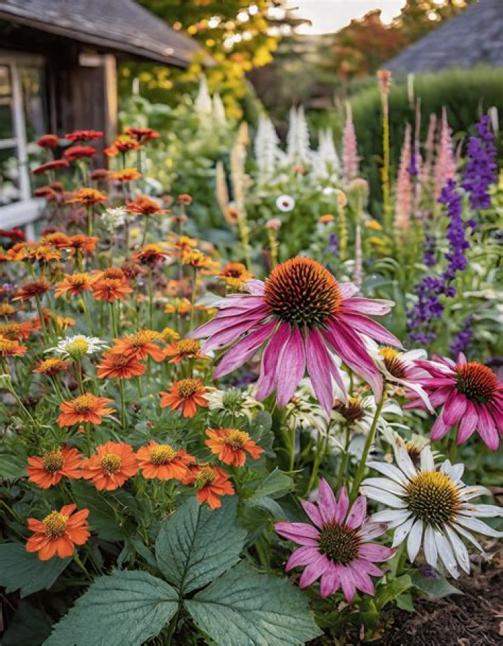 Fall flower resembling a daisy