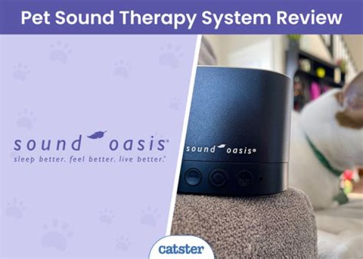 Feline sound