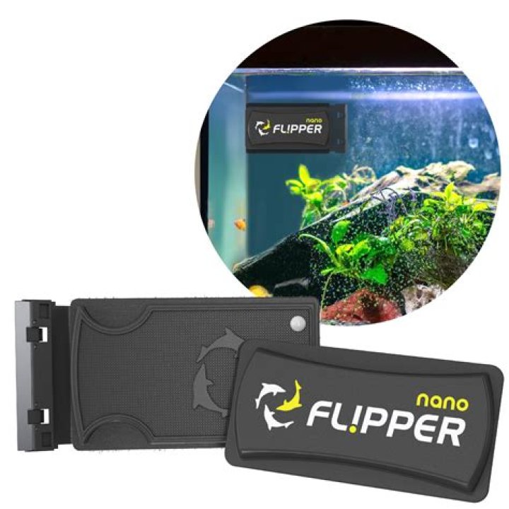 Fish's flipper