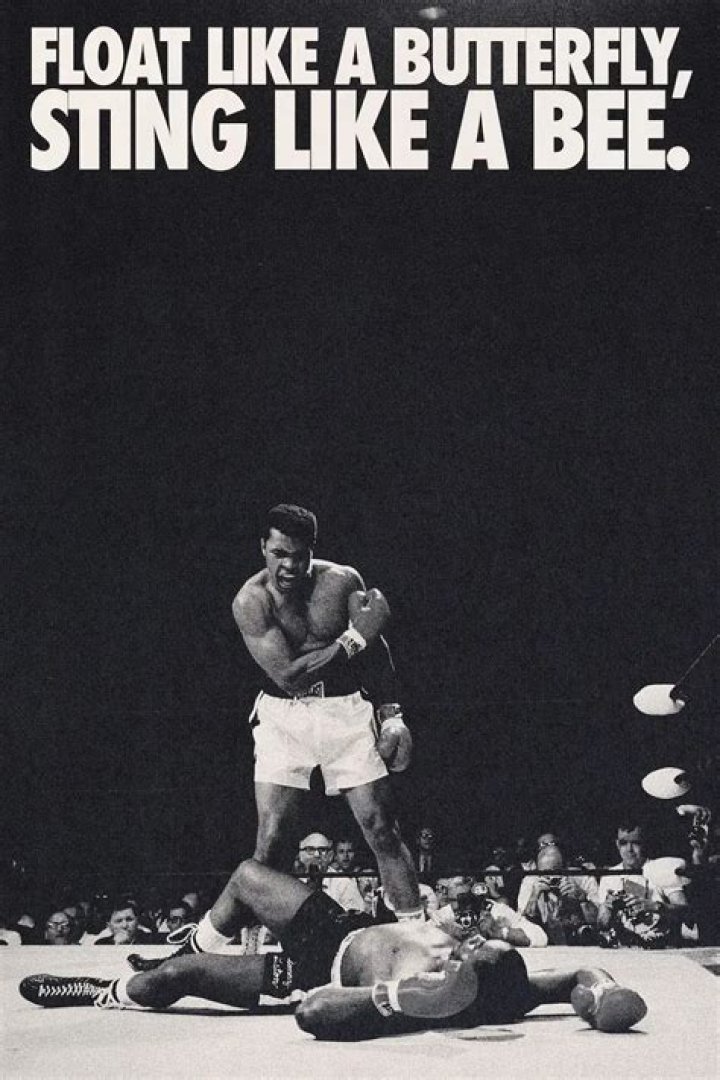Float like a butterfly sting like ___: 2 wds.