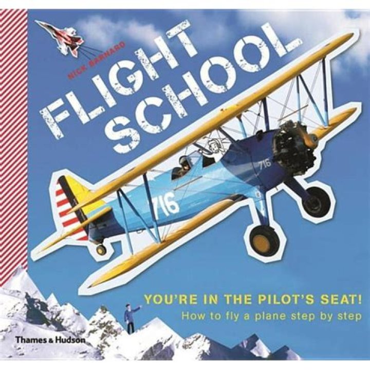 Fly a plane by yourself