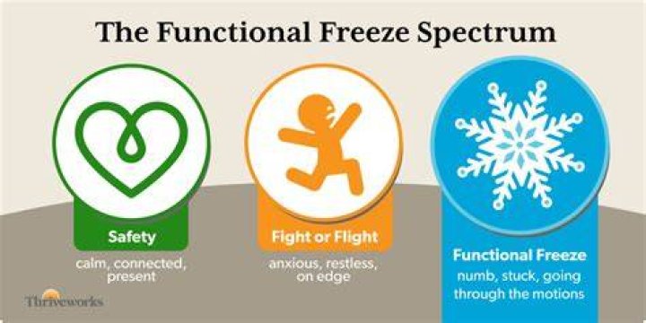 Freeze-___ (still image)