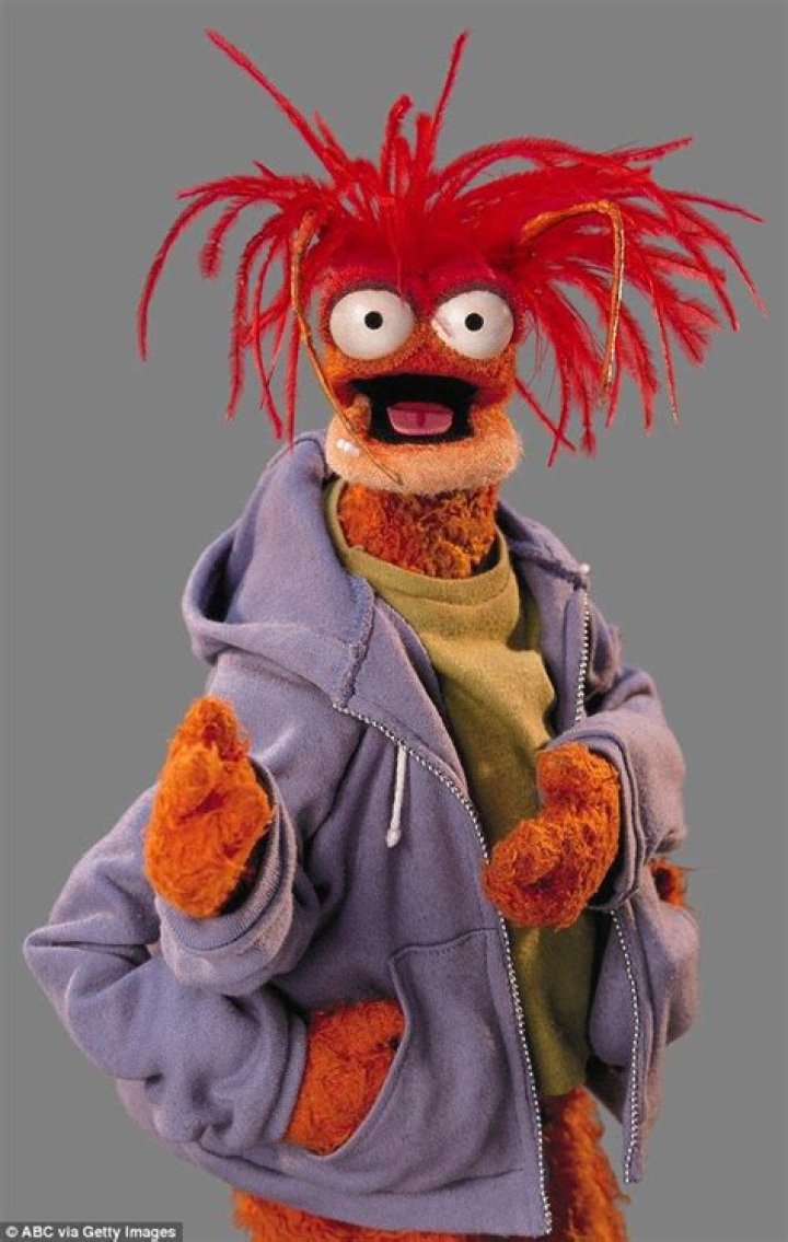 Fuzzy red Muppet