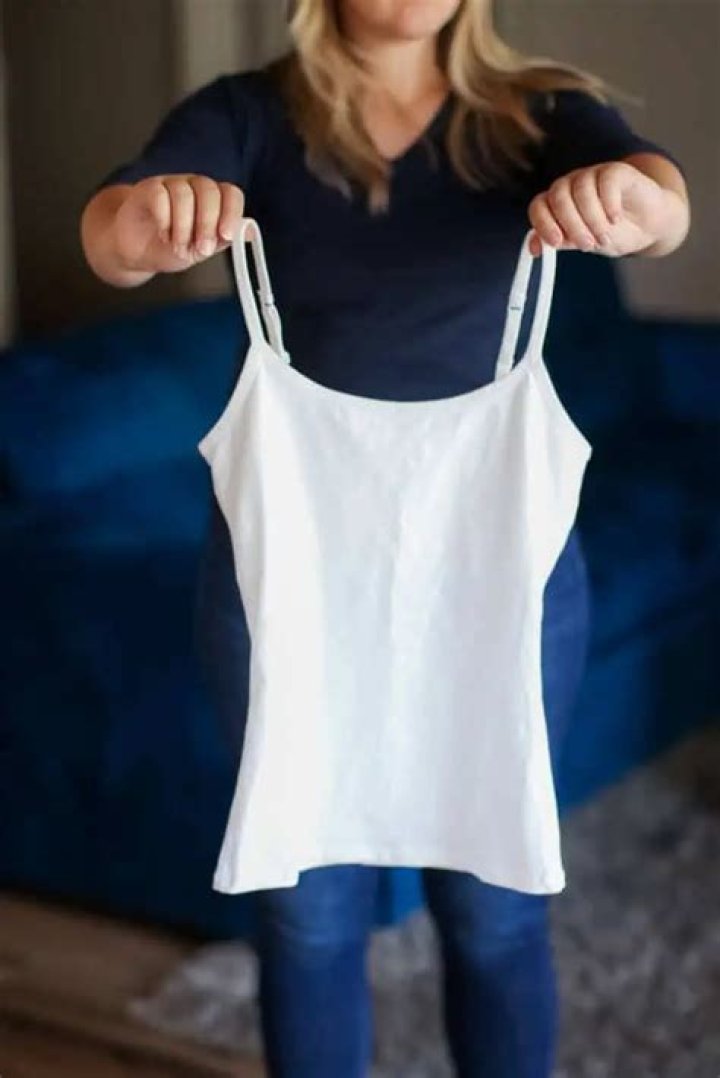 Garment worn underneath a blouse