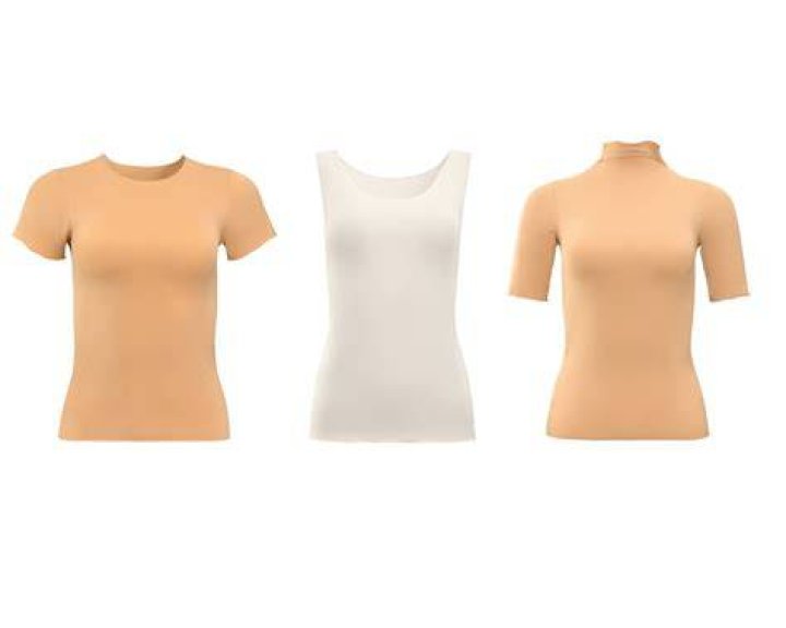 Garments worn under blouses