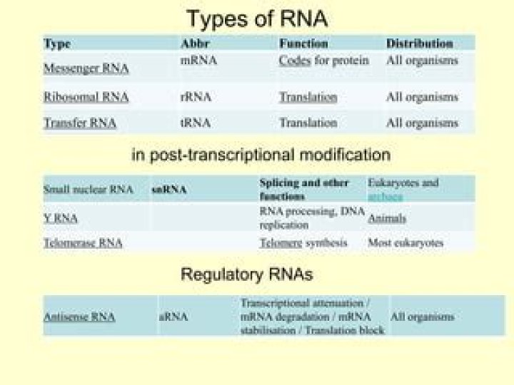 Genetic messenger: Abbr.