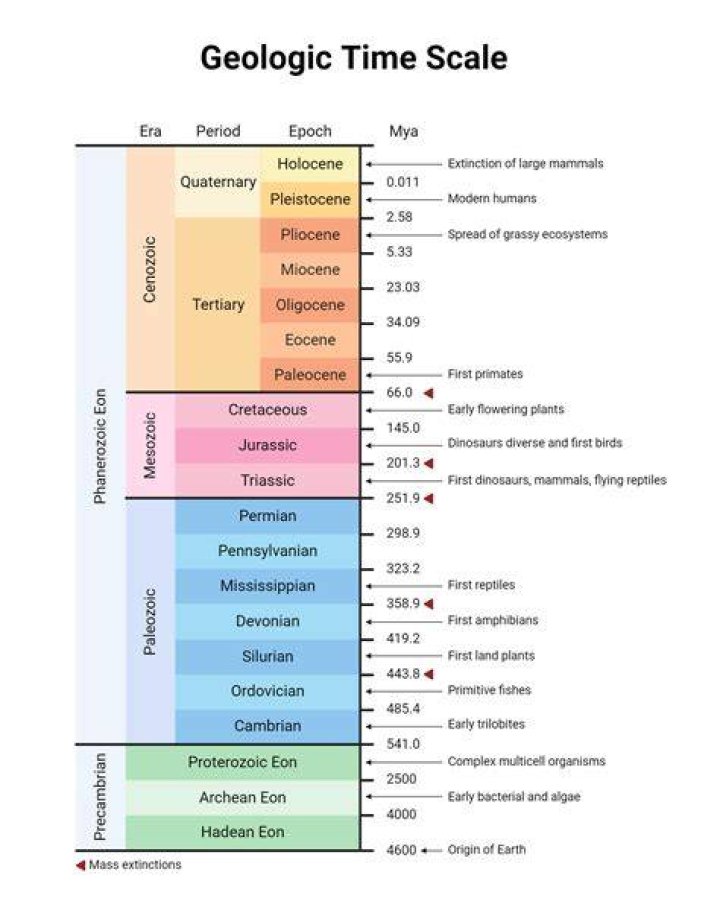 Geological time spans