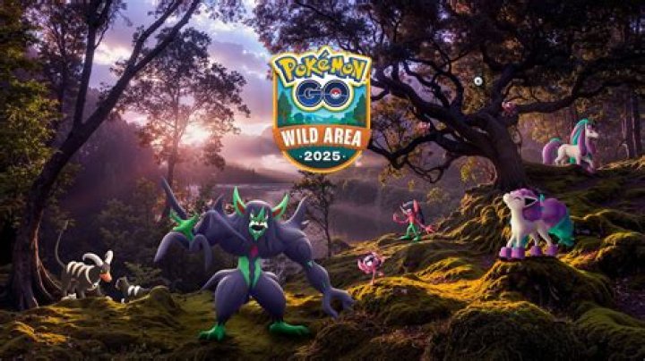 Go ___-wild