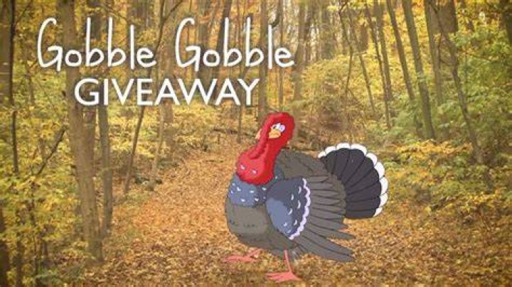 Gobble up as a samosa