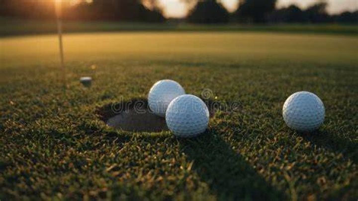 Golf balls rest on them