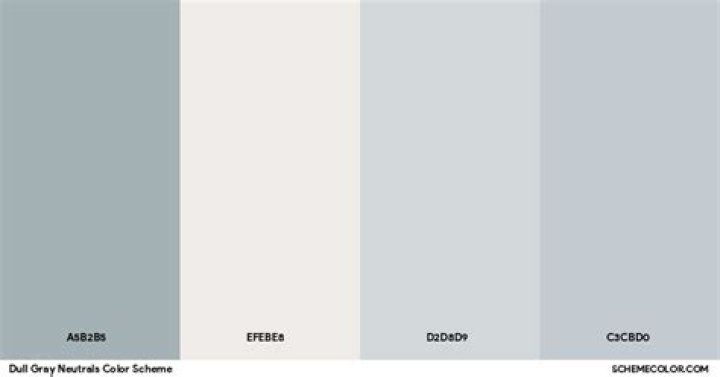 ___ gray (dull color)