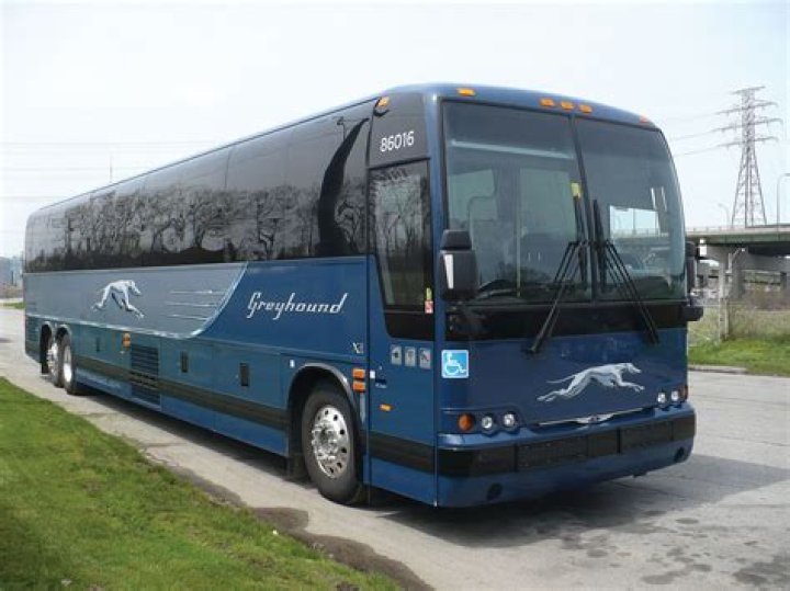 Greyhound vehicle