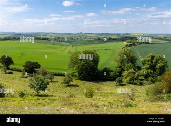___ Hampshire