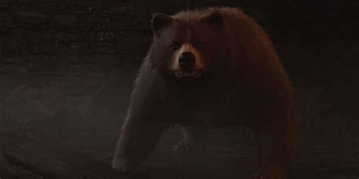 Handle roughly as a bear would