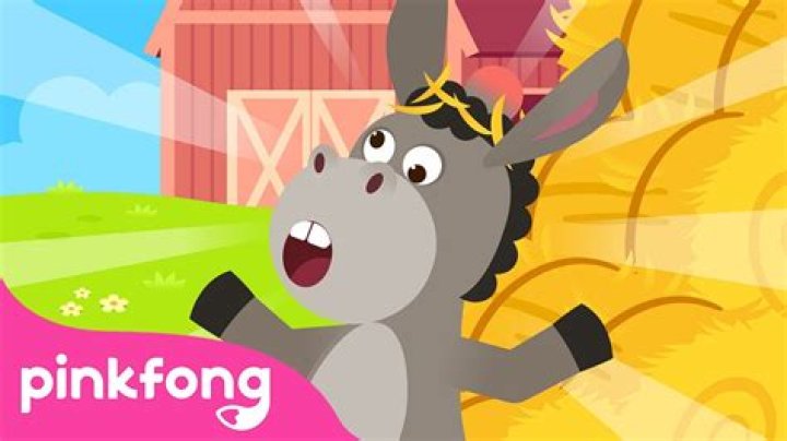 ___-haw (donkey's comment)