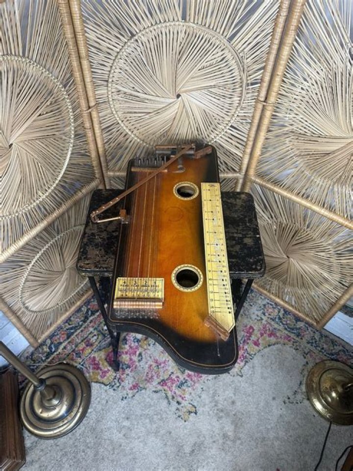 Hawaiian stringed instruments for short