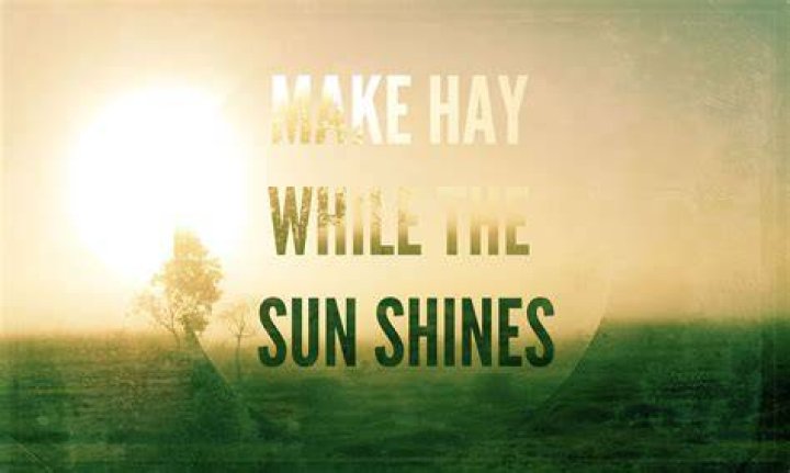 ___ hay while the sun shines