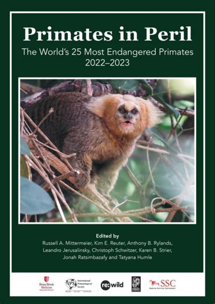 Heavy primates