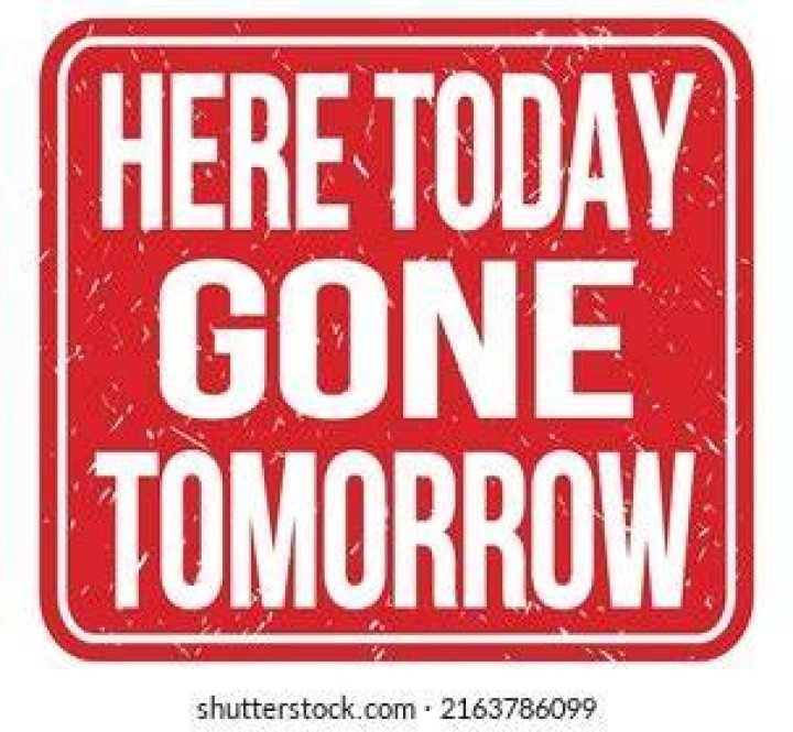 Here-today gone-tomorrow activity