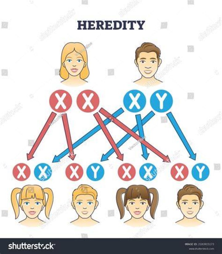 Heredity factors