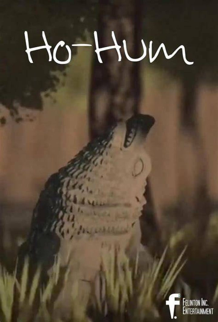 Ho-hum