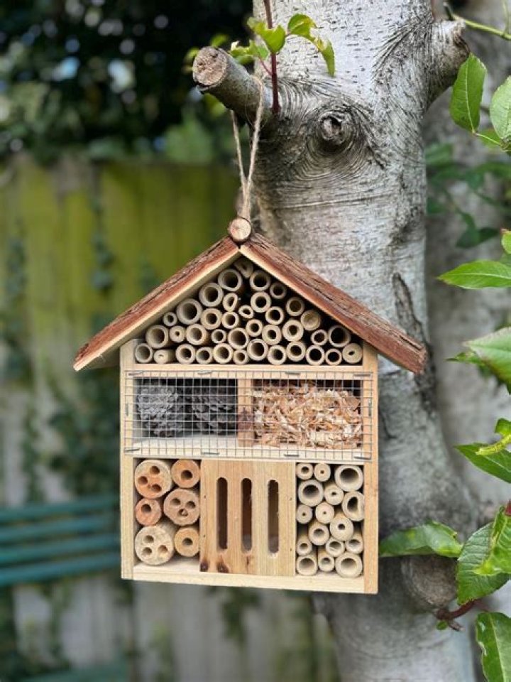 Home for bees