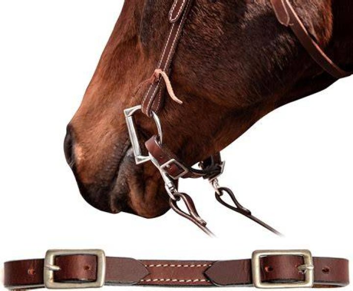Horse-guiding strap