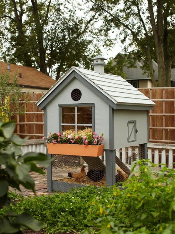 House for hens