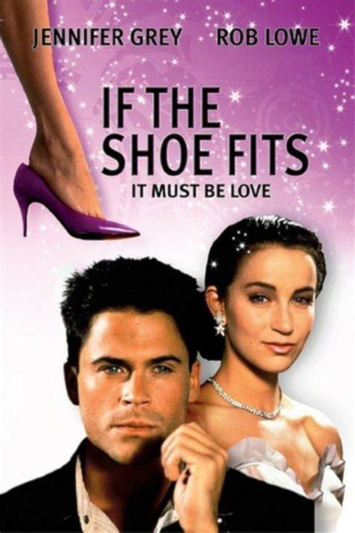 If the ___ fits ...