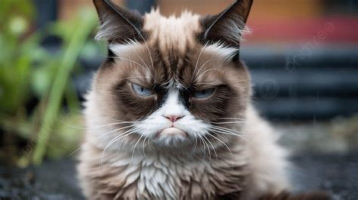 In a bad ___ (grumpy)