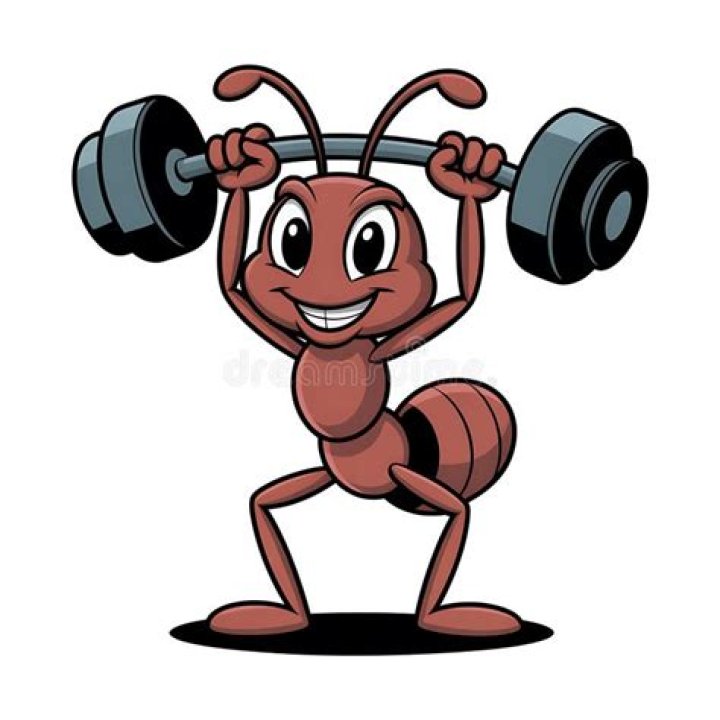 Industrious weightlifting insect