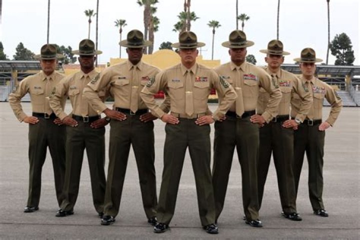 Instructors