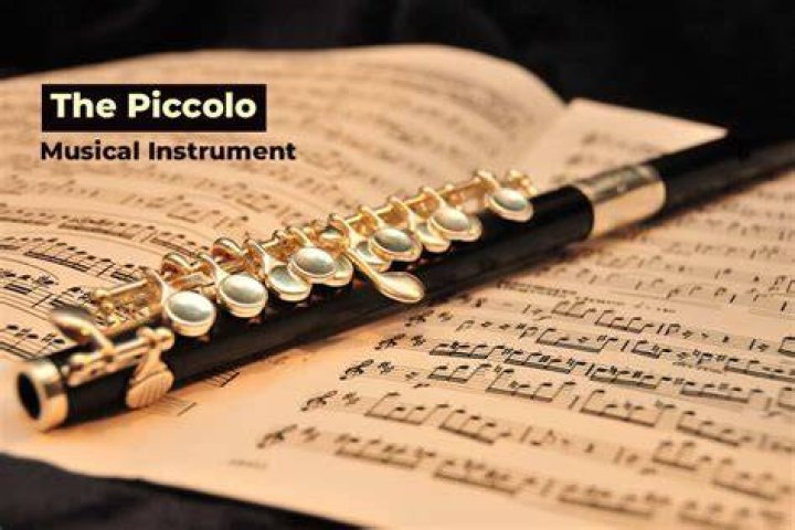 Instrument resembling a piccolo