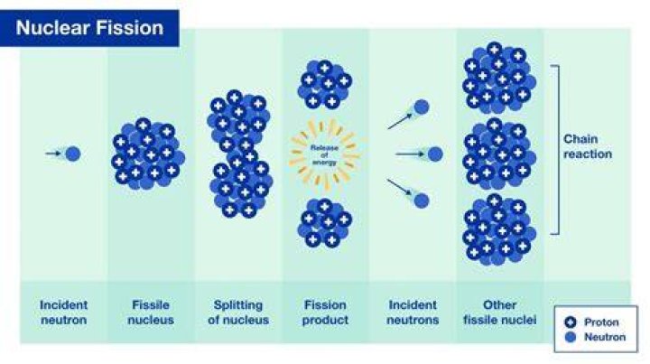 It's split during nuclear fission