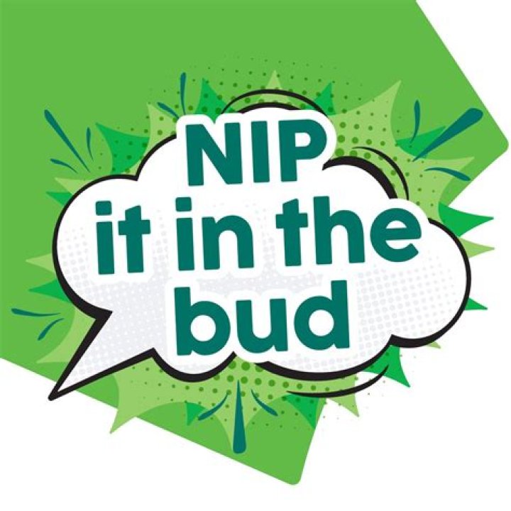 ___ it in the bud (catch a problem before it gets bad)