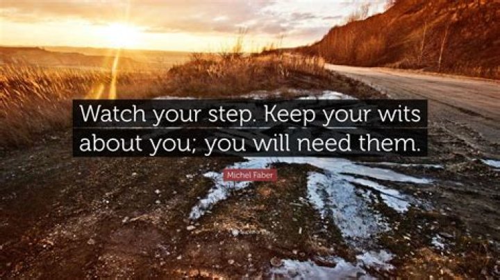Keep your wits ___ you