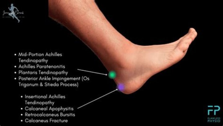 Knee-to-ankle area
