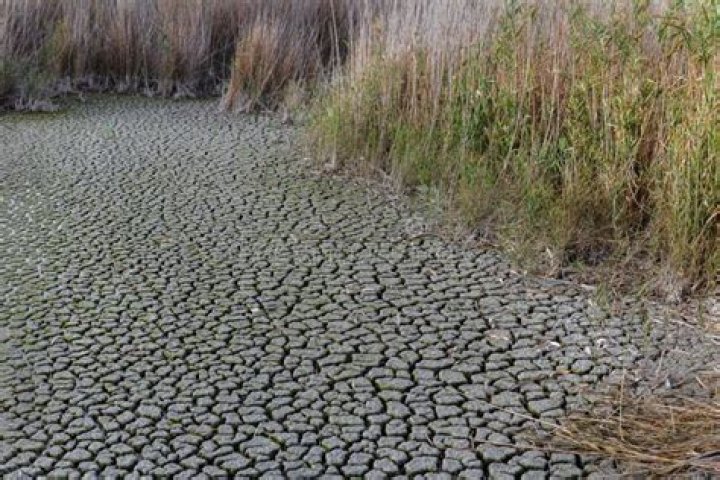 Lacking rainfall