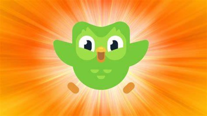 Language-learning app with an owl mascot