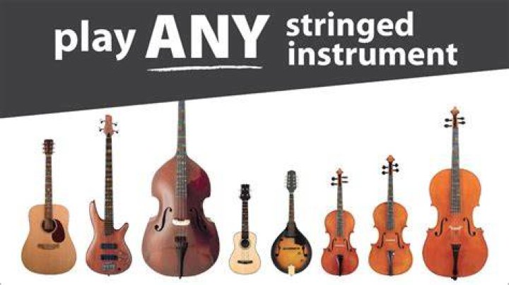 Large stringed instrument in a jazz combo