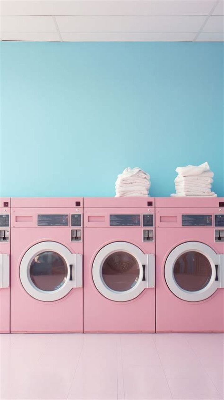 Laundromat appliance