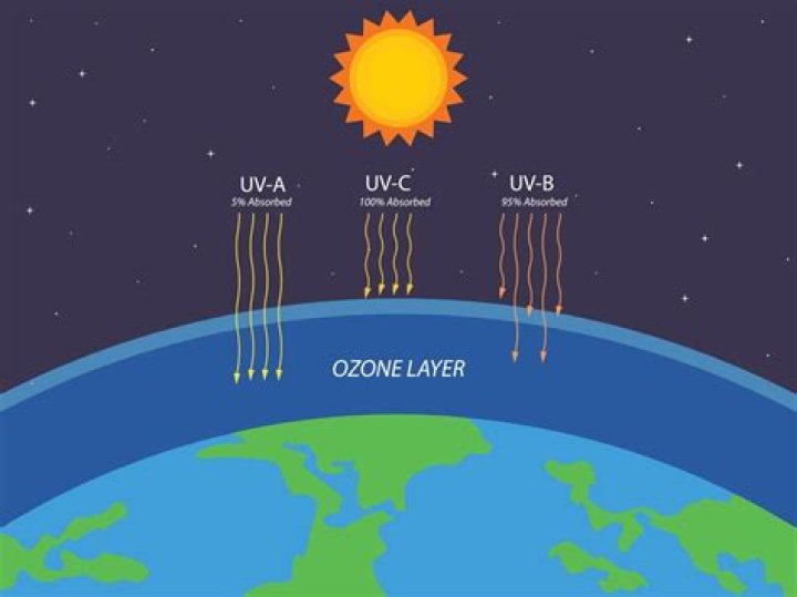 ___ layer (protection against ultraviolet rays)
