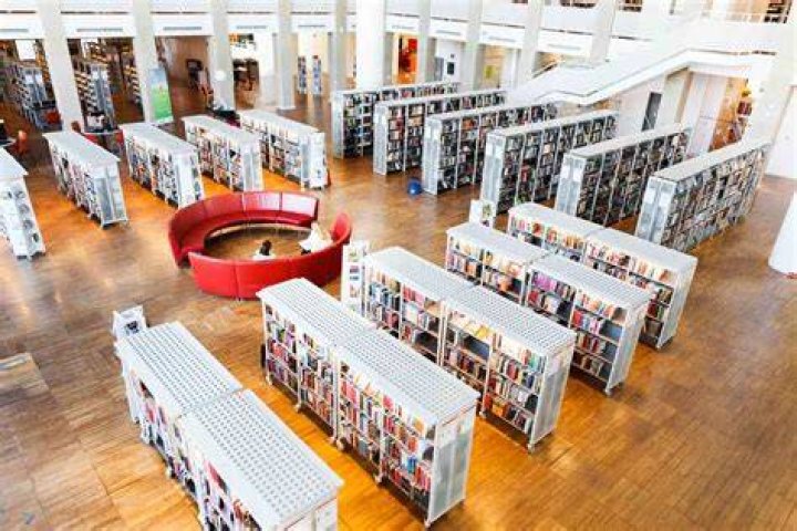 Library item