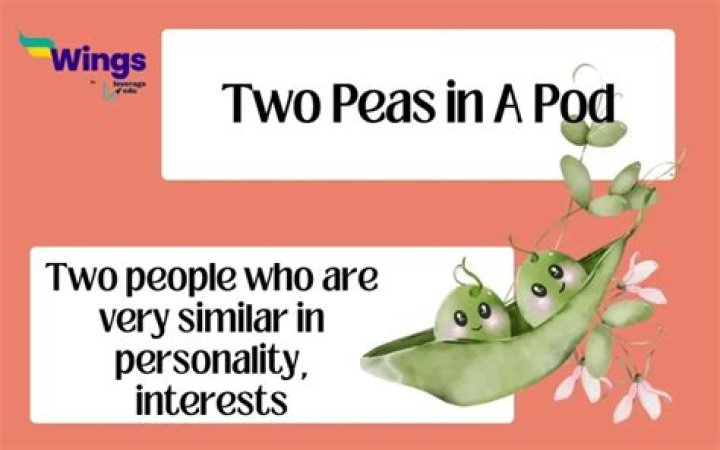 Like two peas in a ___