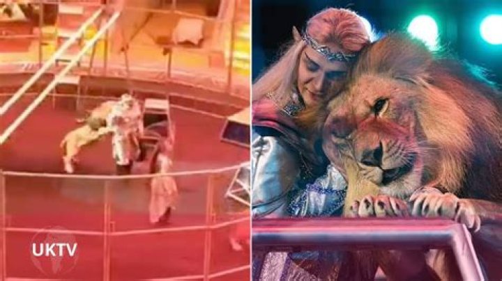 Lion ___ (circus performer)