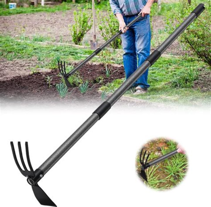 Long-handled tool
